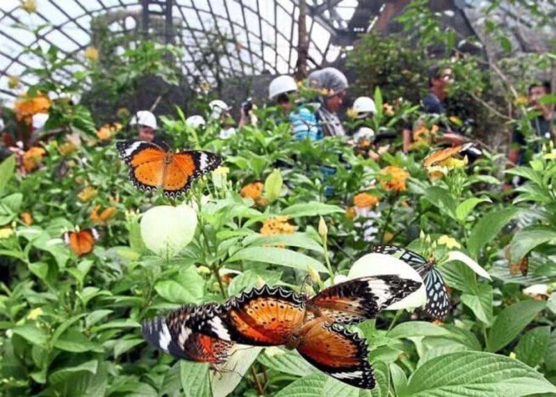 Zanzibar: Jozani forest, Butterfly center and Mtende beach - What Travelers Say