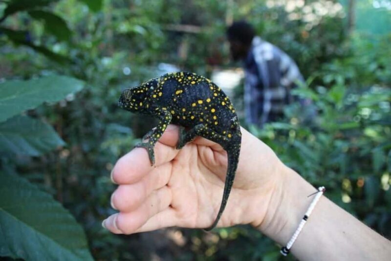 Zanzibar: Jozani forest, Butterfly center and Mtende beach - The Highlight: Mtende Beach’s Peaceful Shores