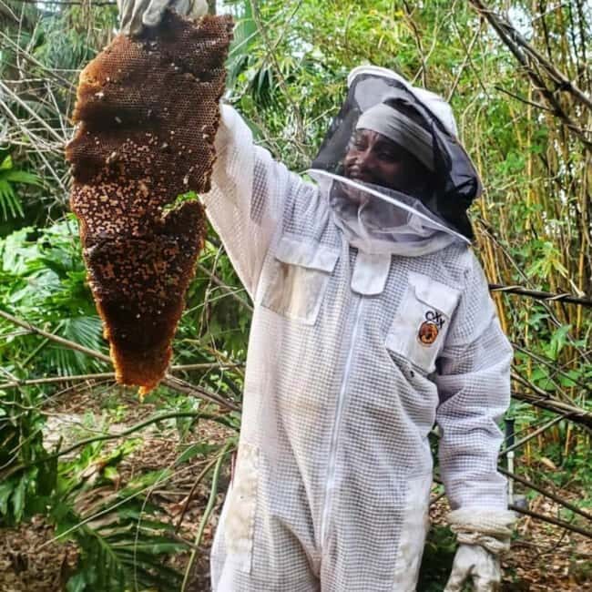 Zanzibar: Jozani Forest, Butterfly Center, & Beekeeping Tour - Exploring the Zanzibar Butterfly Centre