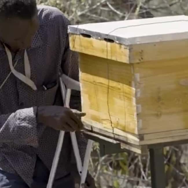 Zanzibar: Jozani Forest, Butterfly Center, & Beekeeping Tour - Authenticity and Impact