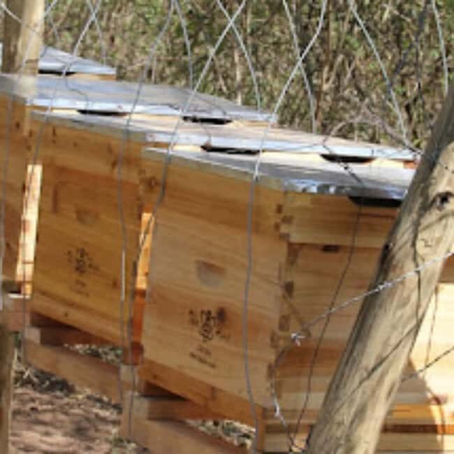 Zanzibar: Jozani Forest, Butterfly Center, & Beekeeping Tour - FAQ