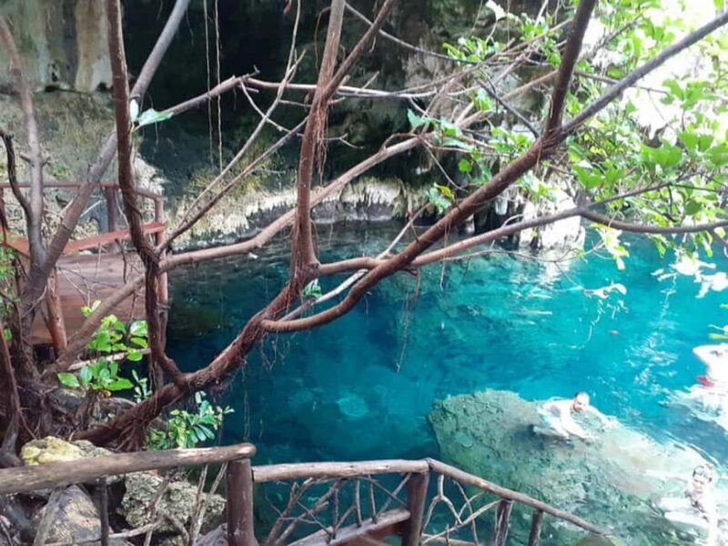 Zanzibar: Jozani forest, Butterfly center & Maalum cave tour - Key Points