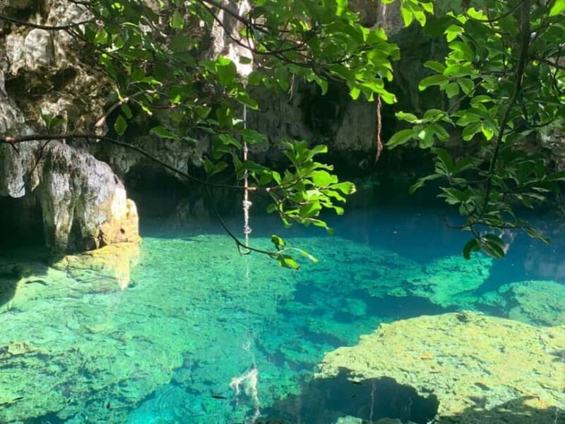 Zanzibar: Jozani forest, Butterfly center & Maalum cave tour - Discovering Jozani Forest: The Heart of Zanzibar’s Wildlife