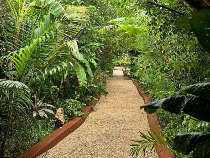Zanzibar: Jozani forest, Butterfly center & Maalum cave tour - What You Need to Know Before You Go