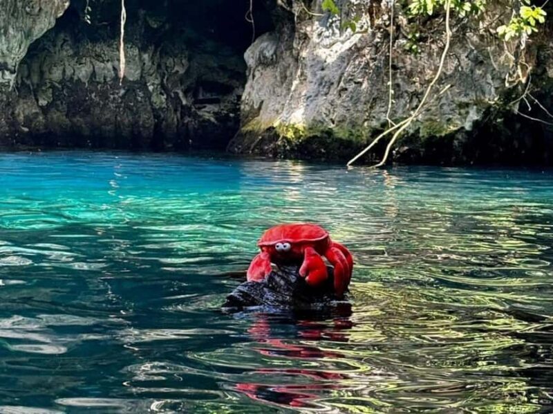 Zanzibar: Jozani forest, Butterfly center & Maalum cave tour - Authentic Experiences and Practical Tips
