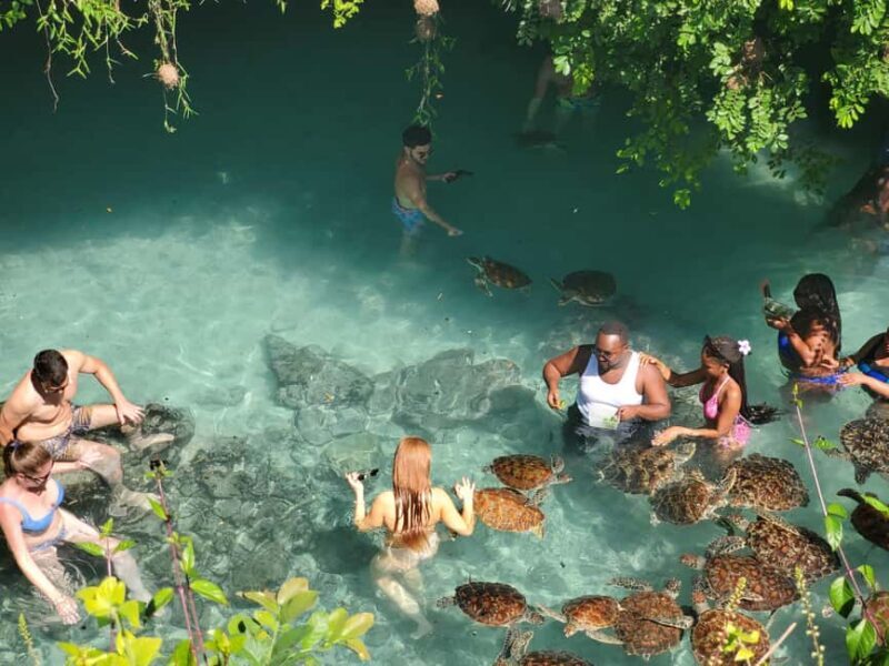 Zanzibar: Jozani forest, Butterfly, turtles & Mtende beach - Who Should Consider This Tour?