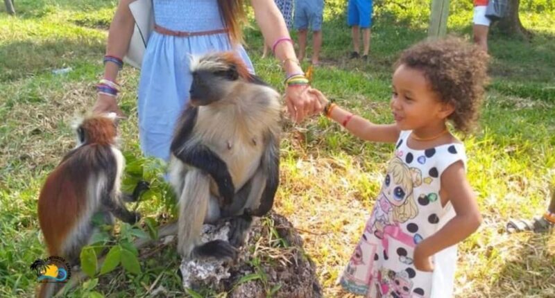 Zanzibar: Jozani Forest Conservation Guided Tour - Key Points