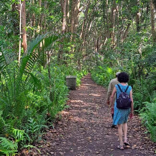 ZANZIBAR: Jozani Forest guided tour & Butterfly Sanctuary - Key Points