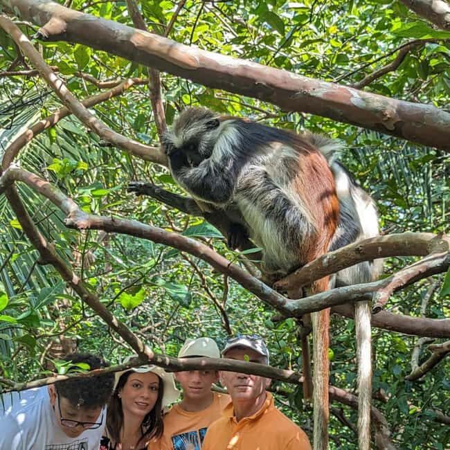 ZANZIBAR: Jozani Forest guided tour & Butterfly Sanctuary - An In-Depth Look at the Tour Experience