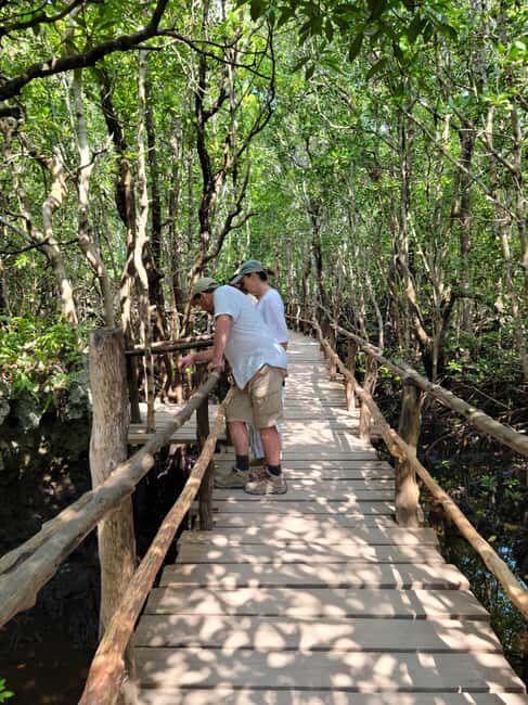 Zanzibar: Jozani Forest Guided Tour with Hotel Transfer - What’s Included and Practical Details