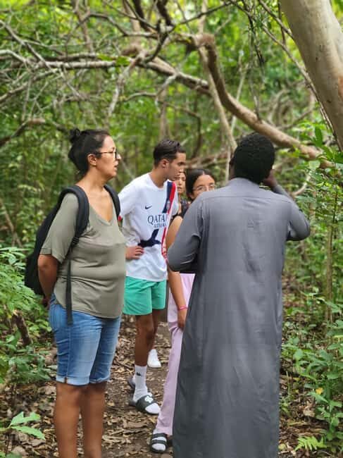 Zanzibar: Jozani Forest Guided Tour with Hotel Transfer - Why This Tour Is a Solid Choice