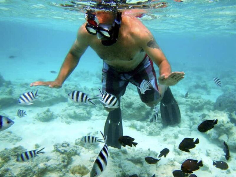 Zanzibar: Jozani Forest, Kuza Cave, Blue Lagoon & Dinner - An In-Depth Look at the Tour Experience