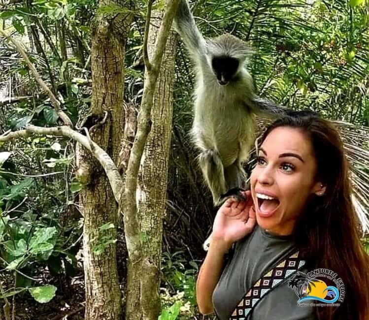 Zanzibar: Jozani Forest, Kuza Cave & Blue Lagoon | Full day - FAQs