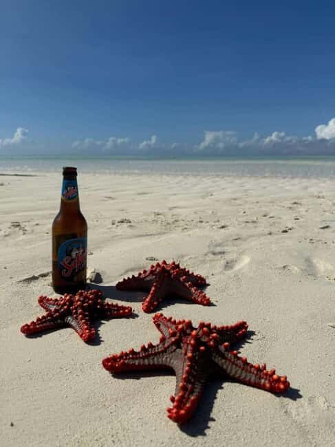 Zanzibar: Jozani Forest, Kuza Cave, & Blue Lagoon + Starfish - Key Points
