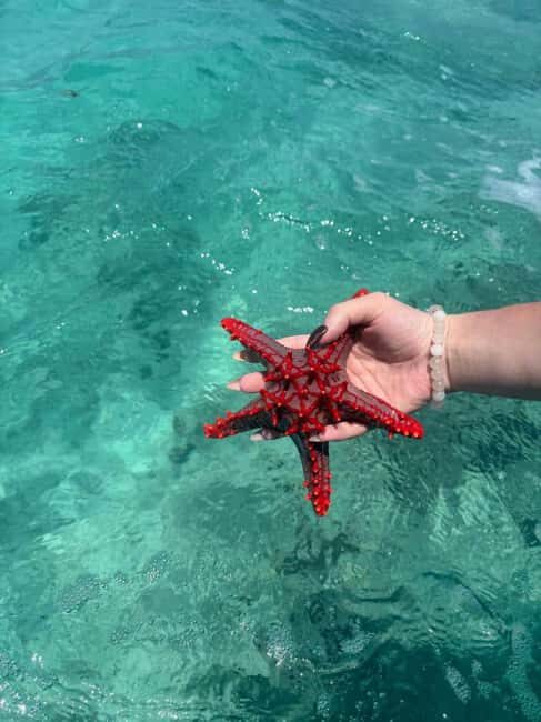 Zanzibar: Jozani Forest, Kuza Cave, & Blue Lagoon + Starfish - Exploring Zanzibar’s Natural Side: Jozani Forest