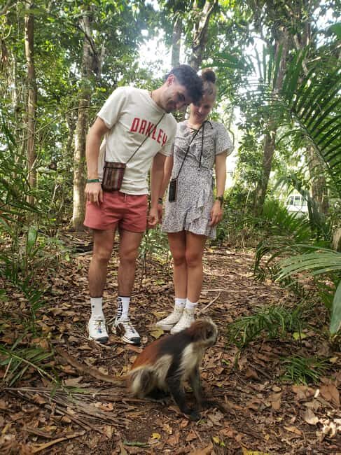 Zanzibar: Jozani forest, Kuza Cave, Paje Beach & The Rock - FAQ