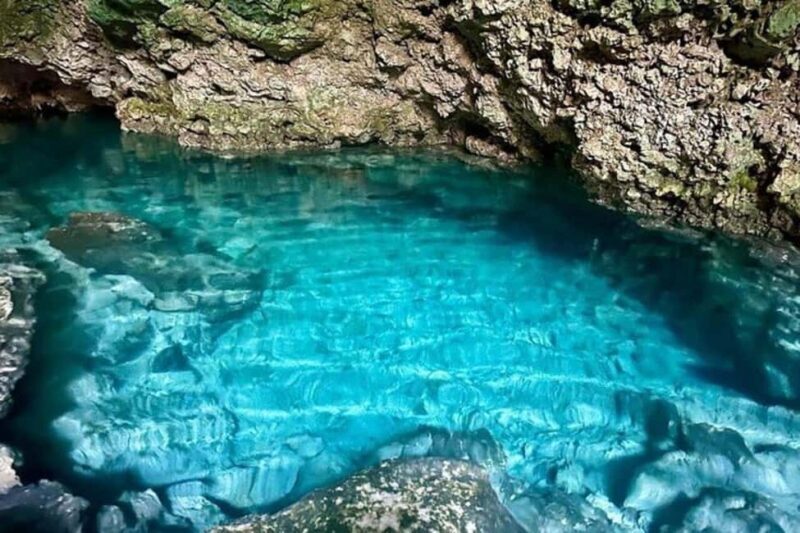 Zanzibar: Jozani Forest, Kuza Cave & Rock Restaurant Tour - Who Should Consider This Tour?