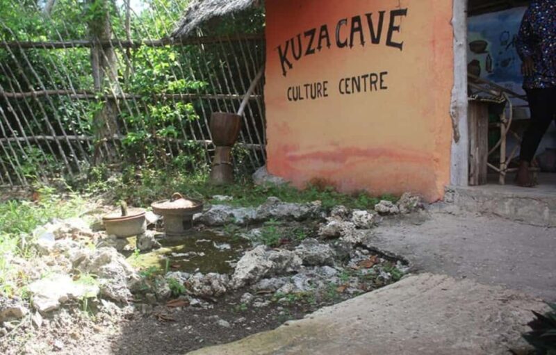 Zanzibar: Jozani forest + Kuza cave visit & Paje beach tour - Key Points
