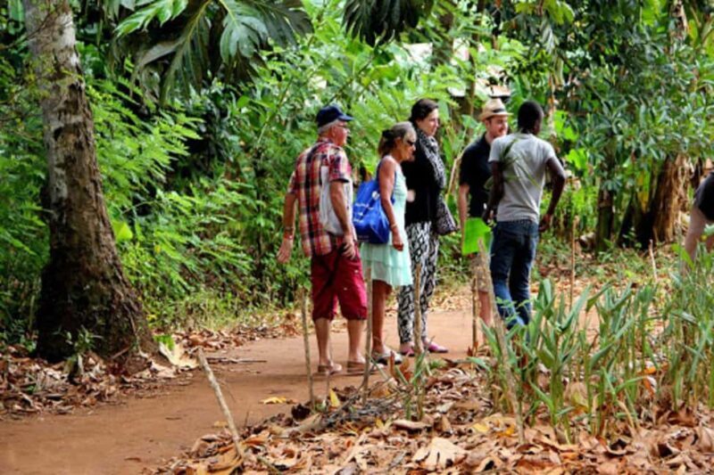 Zanzibar: Jozani forest + Kuza cave visit & Paje beach tour - A Day in Zanzibar: What to Expect from the Tour