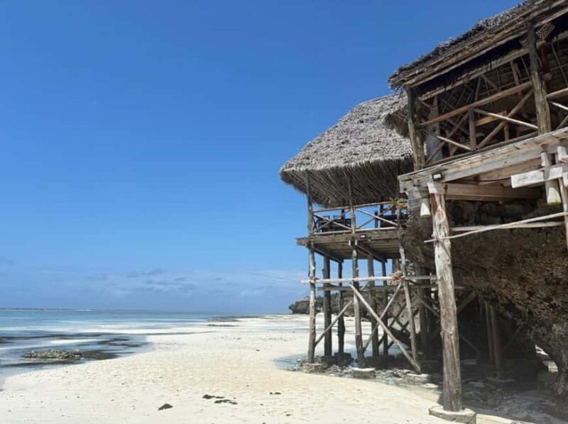 Zanzibar: Jozani forest, Maalum Cave, & Mtende Beach Tour - Exploring the Tour Itself: A Detailed Look