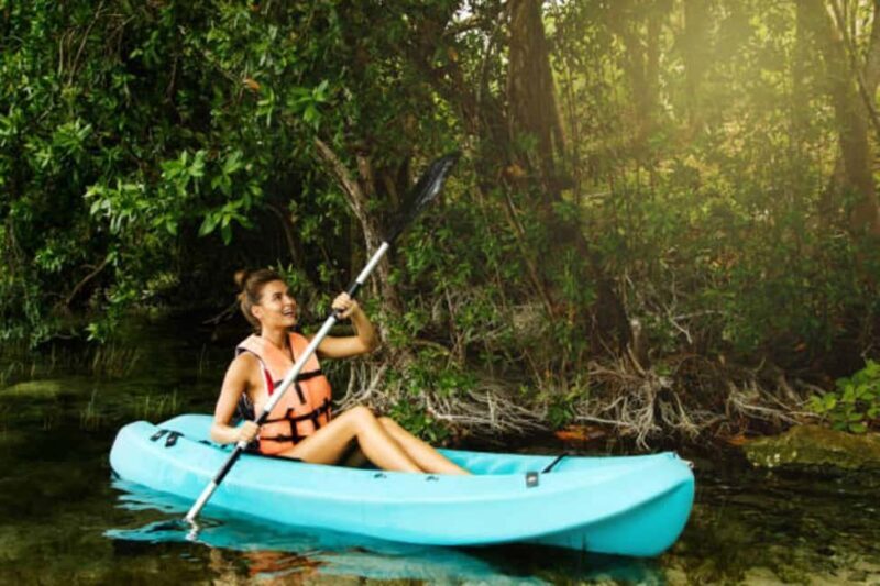 ZANZIBAR; Jozani forest & Mangrove Kayak Tour - Key Points