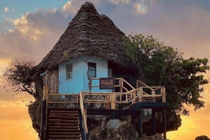 Zanzibar: Jozani Forest Monkey Tour and The Rock Restaurant - A Closer Look at the Tour Experience