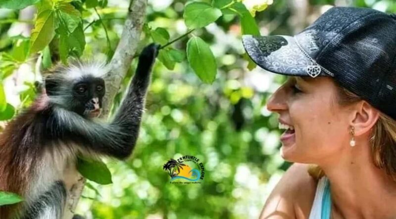 Zanzibar: Jozani Forest National Park Guided Tour - The Sum Up