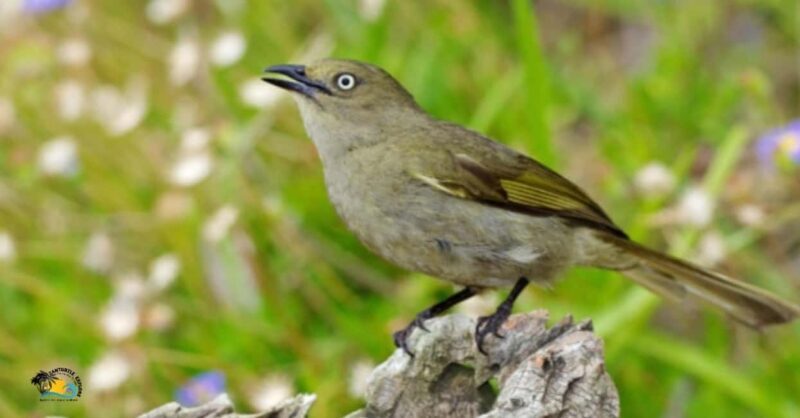 Zanzibar: Jozani Forest National Park Guided Tour - The Itinerary: What to Expect from Your Day at Jozani Forest