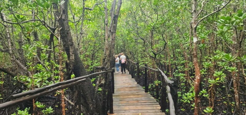 Zanzibar: Jozani Forest National Park Guided Tour - In-Depth Look at the Jozani Forest Guided Tour