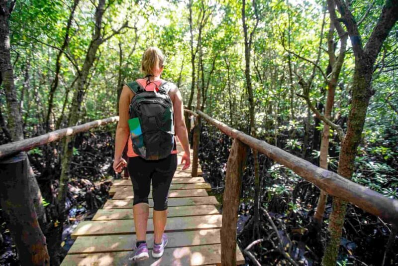 Zanzibar: Jozani Forest, Nature Walk and Wildlife Tour - Why This Tour Offers Good Value