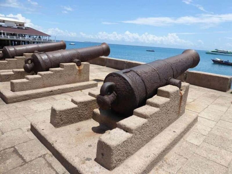 Zanzibar: Jozani Forest, Prison Island & Stone Town Half-day - Practical Details and Tips