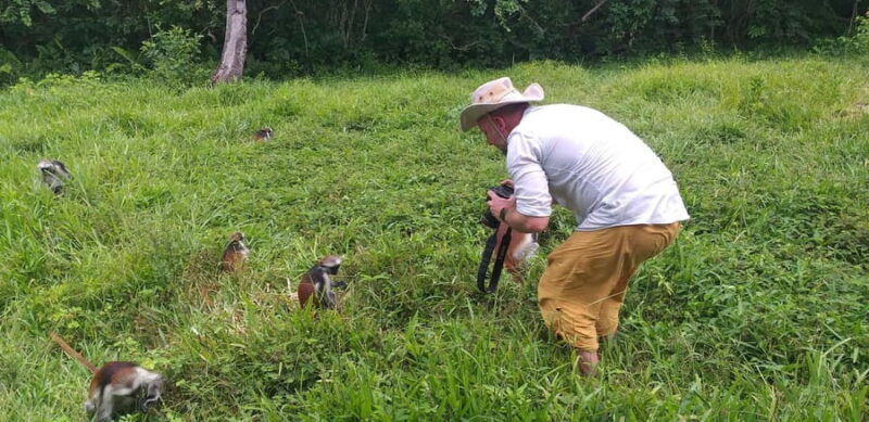 Zanzibar: Jozani Forest & Red Colobus Monkeys Private Tour - Discovering Zanzibar’s Green Heart