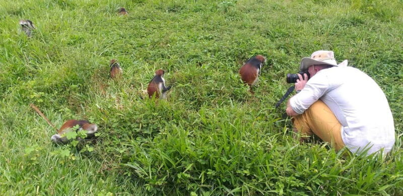 Zanzibar: Jozani Forest & Red Colobus Monkeys Private Tour - Authentic Experiences and Real Traveler Feedback