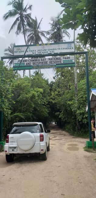 Zanzibar: Jozani Forest & Red Colobus Monkeys Private Tour - Who Should Consider This Tour?