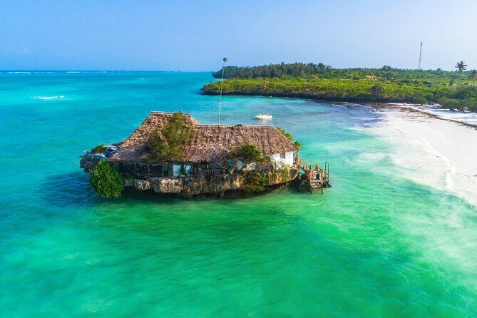 Zanzibar: Jozani Forest, Red colobus, the Rock Restaurant tour - Practical Details and Value
