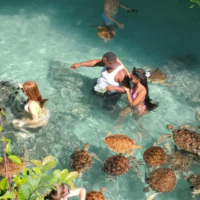 Zanzibar: Jozani Forest, Salaam Cave, and Stone Town Tour - An In-Depth Look at the Tour Experience