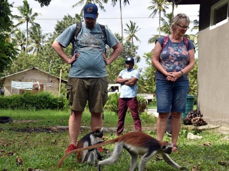 Zanzibar: Jozani forest, Salaam cave & Mtende beach tour - Practical Tips for Your Day