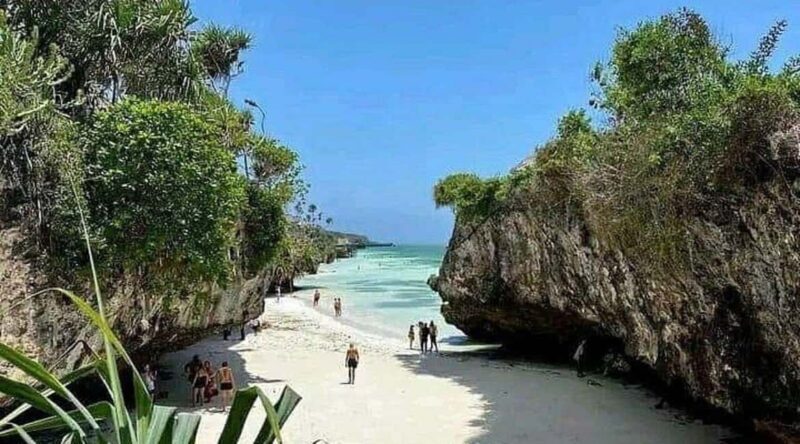 Zanzibar: Jozani Forest, Sea sanctuary tortle & Mtende Beach - Exploring Zanzibar’s Hidden Gems: A Full Breakdown