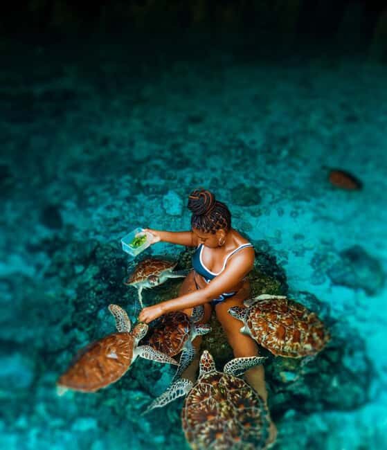 Zanzibar: Jozani Forest, Sea sanctuary tortle & Mtende Beach - The Sum Up