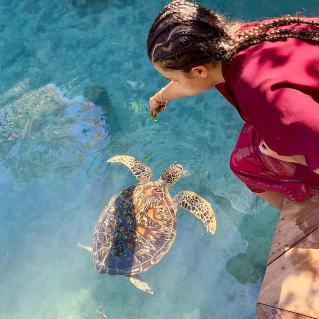 Zanzibar: Jozani Forest & Sea Tortoises Sanctuary Tour - FAQs