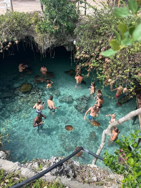 Zanzibar: Jozani Forest & Sea Tortoises Sanctuary Tour - Key Points