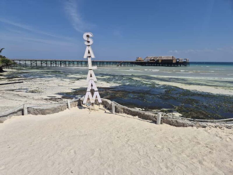 Zanzibar: Jozani Forest & Sea Tortoises Sanctuary Tour - A Detailed Look at the Tour Experience