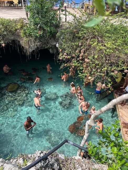 Zanzibar: Jozani Forest & Sea Tortoises Sanctuary Tour - Authentic Encounters and What Makes It Special