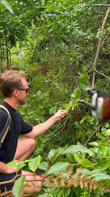 Zanzibar: Jozani Forest & Sea Tortoises Sanctuary Tour - Summary: The Value of the Zanzibar Nature Tour