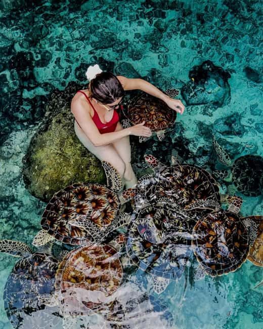 Zanzibar: Jozani Forest, Sea Turtles, & The Rock Restaurant - Frequently Asked Questions