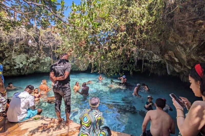 Zanzibar: Jozani Forest, Sea Turtles, & The Rock Restaurant - Summary