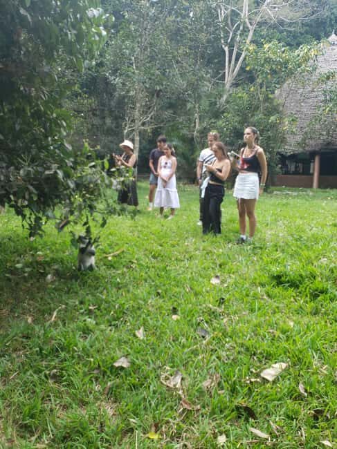 Zanzibar: Jozani forest, Spice farm and Salaam cave day trip - How the Day Works: Logistics and Value