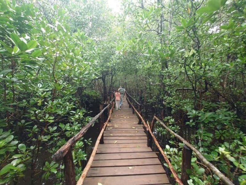 Zanzibar: Jozani forest, Spice farm & Stone town City tour - Authenticity and Real Experiences