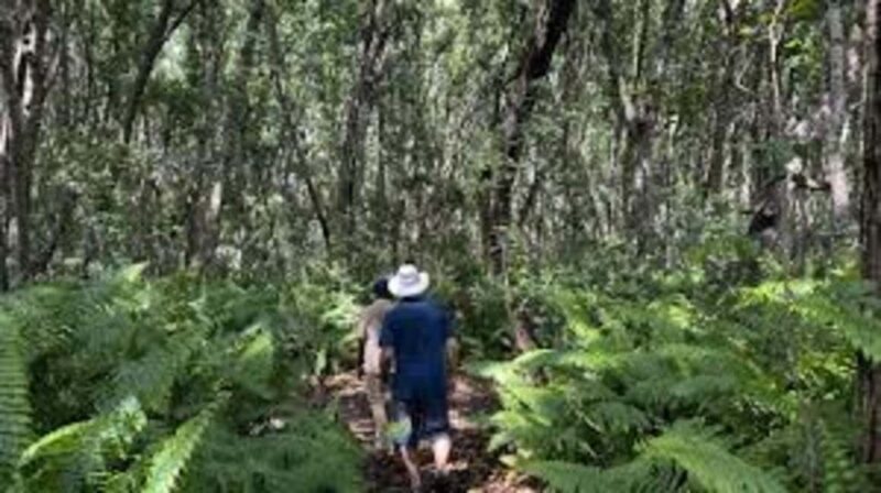 Zanzibar: Jozani Forest, Spice Farms & Stone Town Day Tour - Key Points