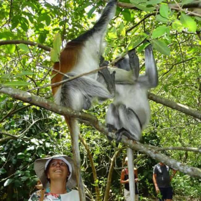 Zanzibar: Jozani Forest, Spice Farms, & Stone Town tour - Practical Details and Value